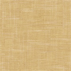 Limitless FR Drapery Fabric